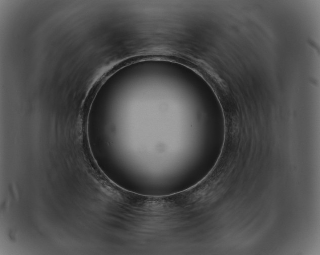 X0000093381364200710191127