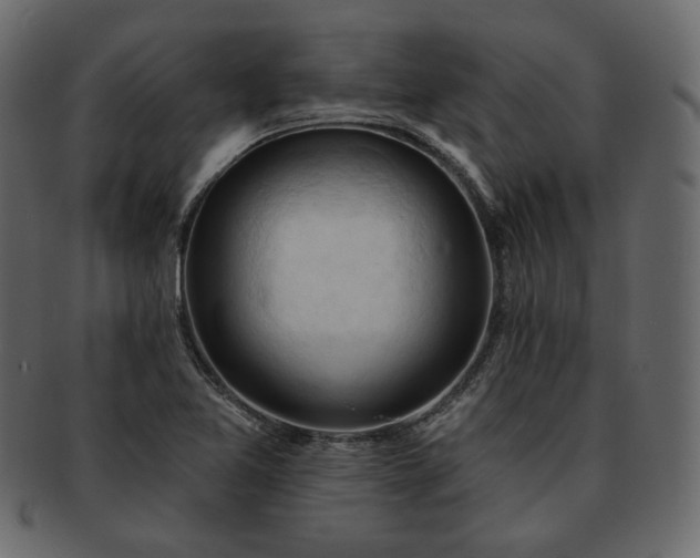 X0000093381365200710191127