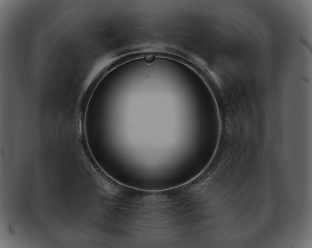 X0000093381368200710191127