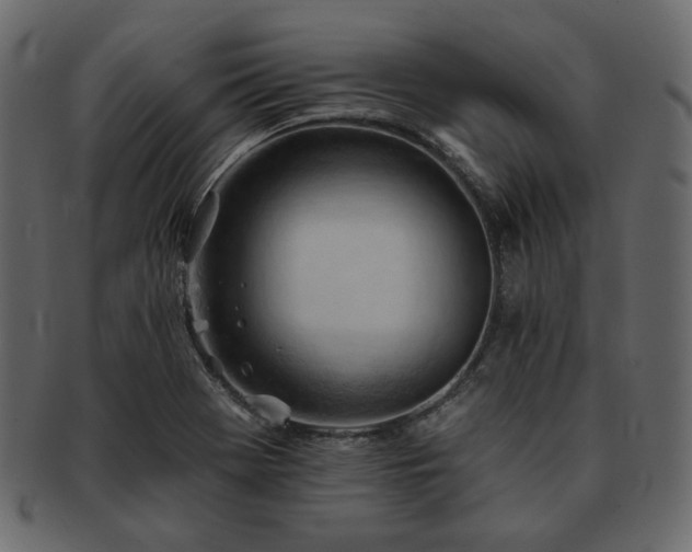 X0000093381369200710191127
