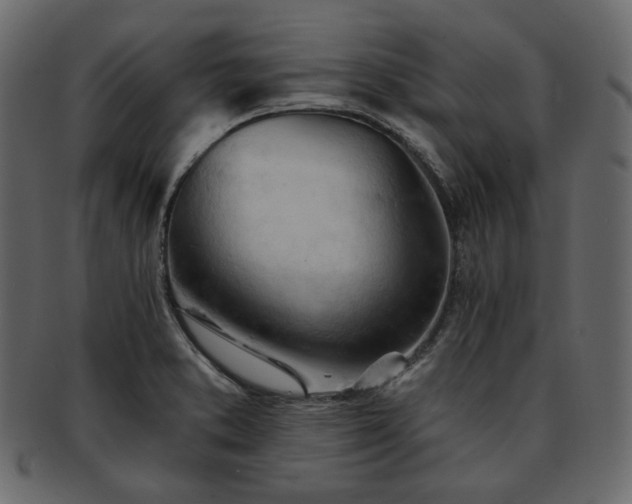 X0000093381373200710191127