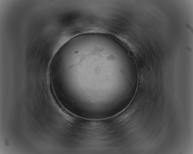 X0000093381375200710191127