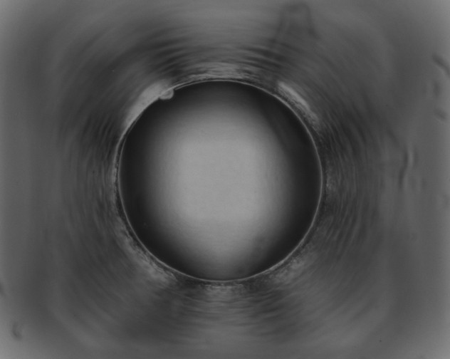 X0000093381378200710191127