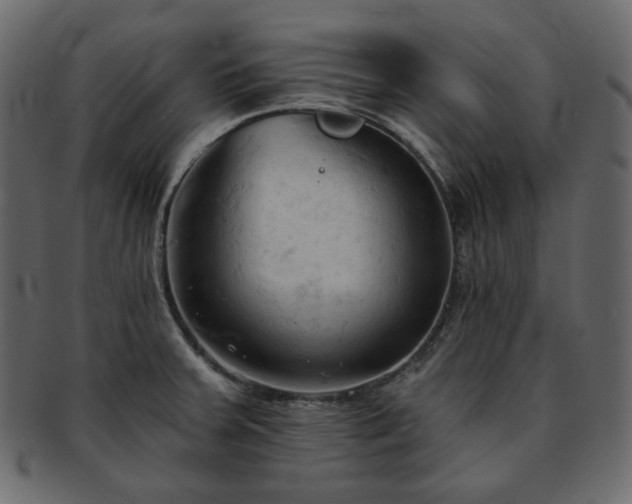 X0000093381379200710191127