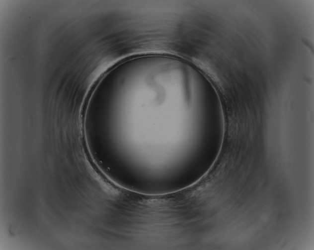 X0000093381380200710191127