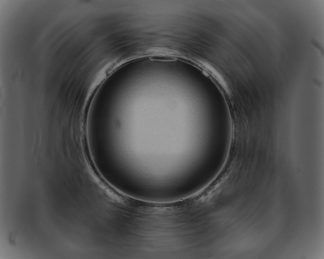 X0000093381381200710191127
