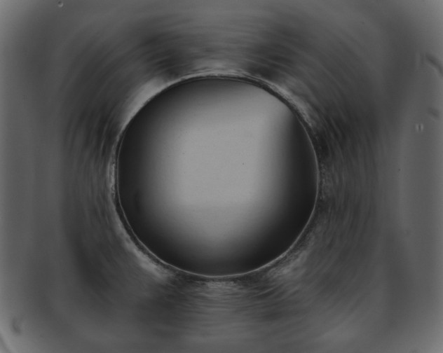 X0000093381383200710191127