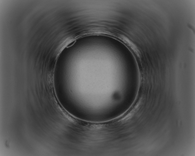 X0000093381385200710191127