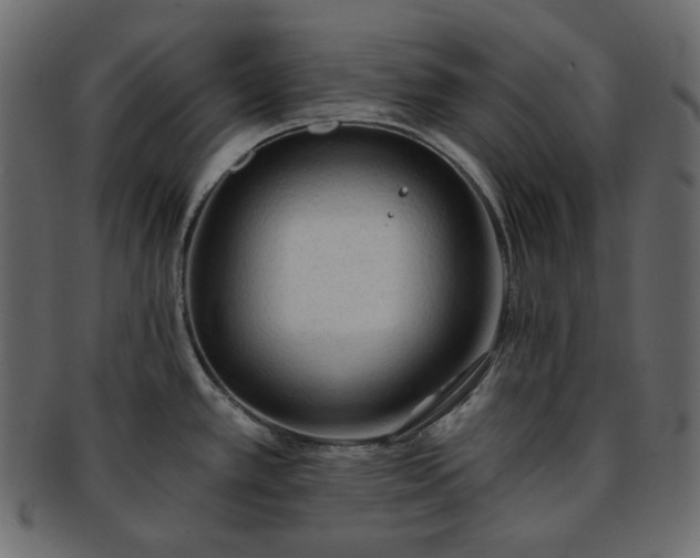 X0000093381389200710191126
