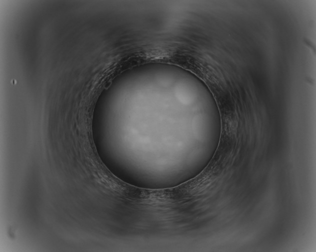 X0000093381393200710191126