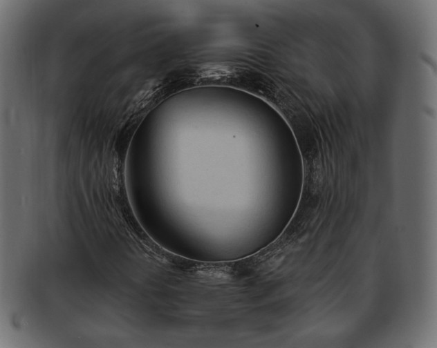 X0000093381394200710191126