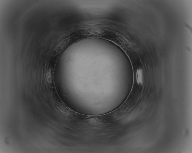 X0000093381395200710191126