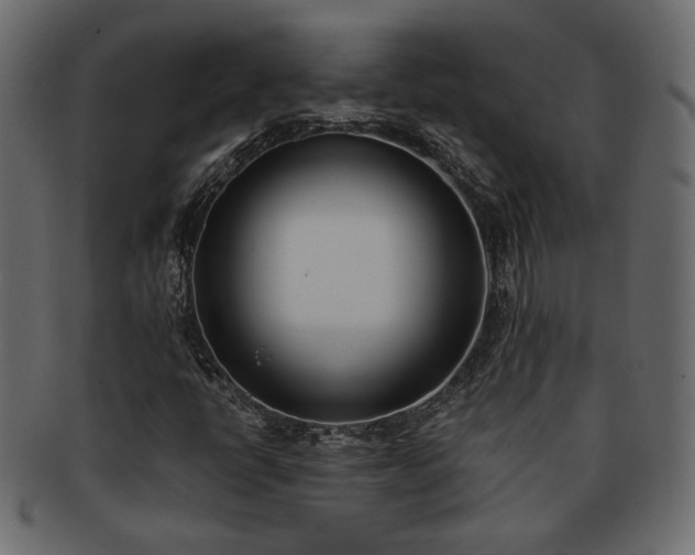 X0000093381398200710191126