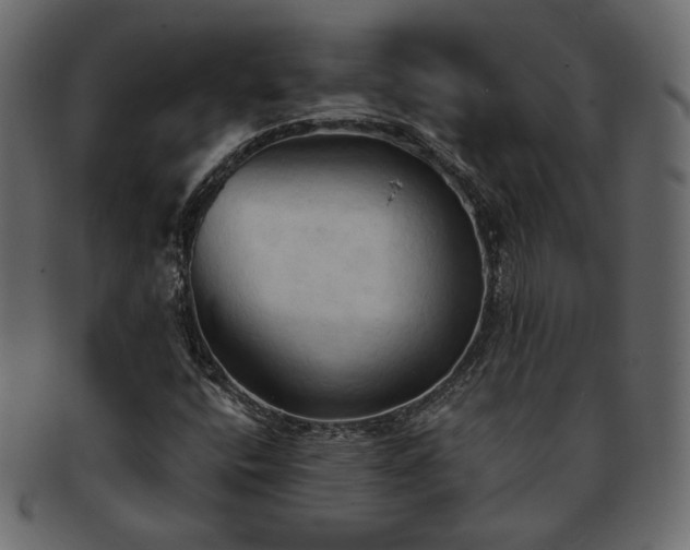 X0000093381400200710191126
