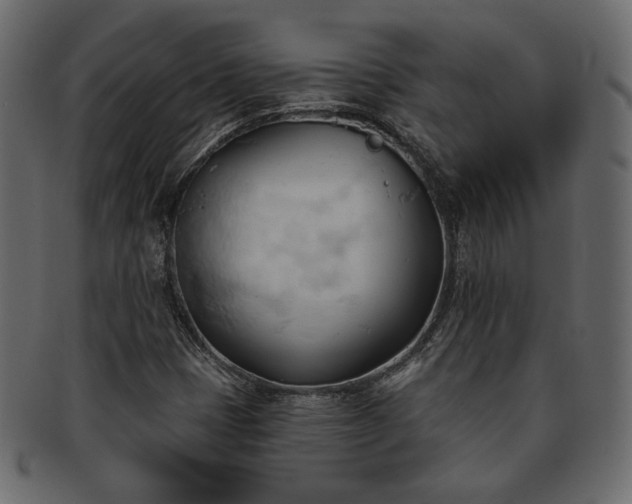 X0000093381401200710191126