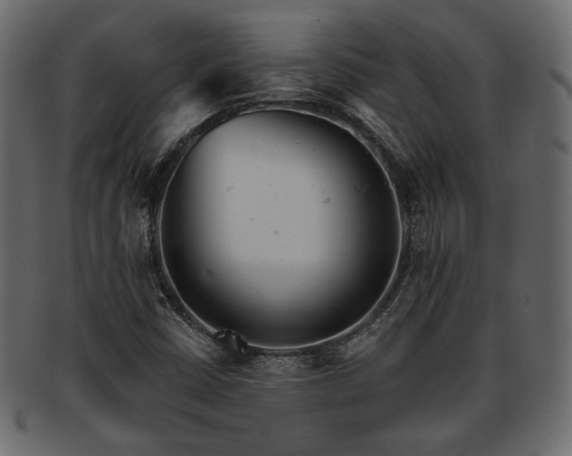 X0000093381402200710191126