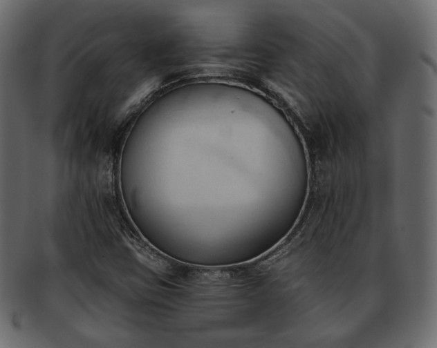 X0000093381403200710191126