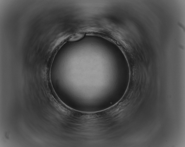 X0000093381404200710191126