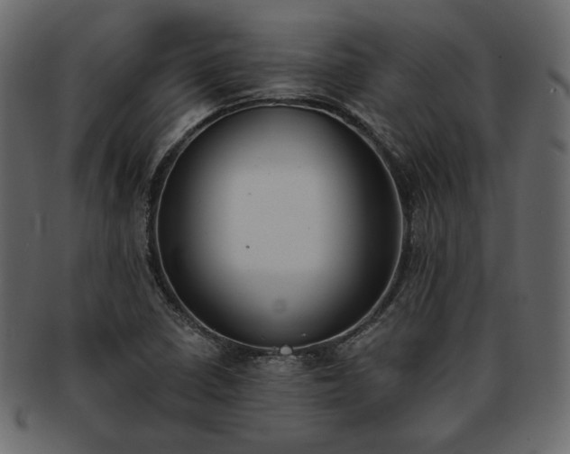 X0000093381410200710191126