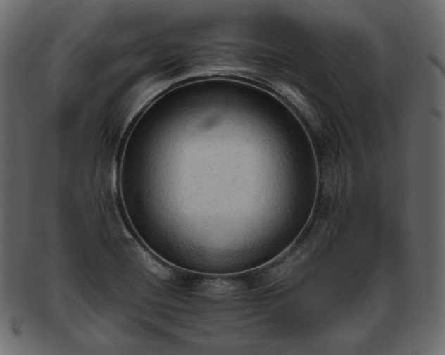 X0000093381420200710191126
