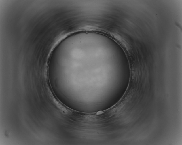 X0000093381421200710191126