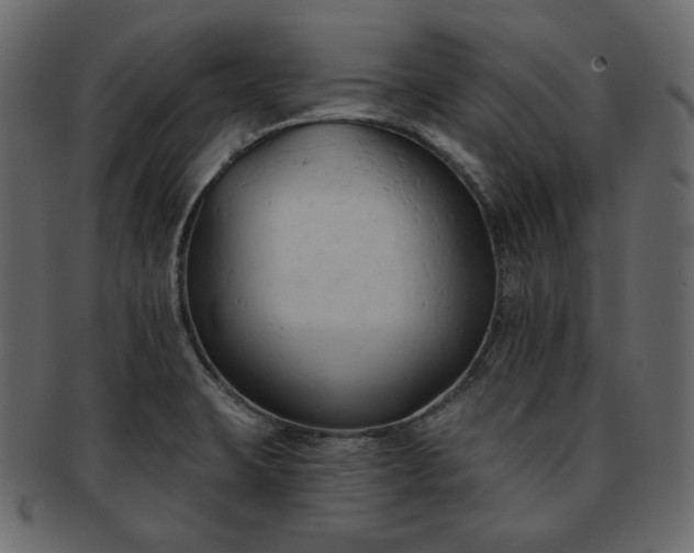 X0000093381423200710191126
