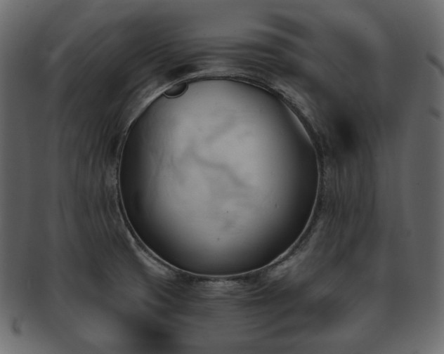 X0000093381425200710191126
