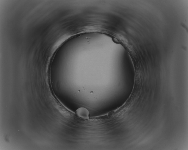 X0000093381427200710191126