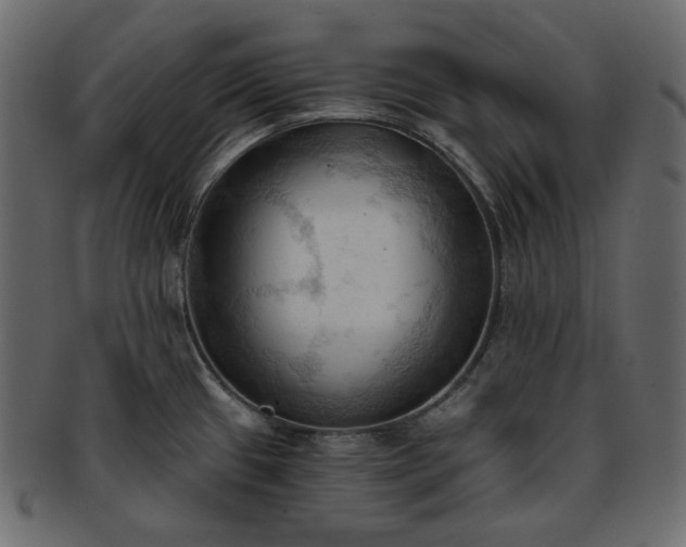 X0000093381433200710191126