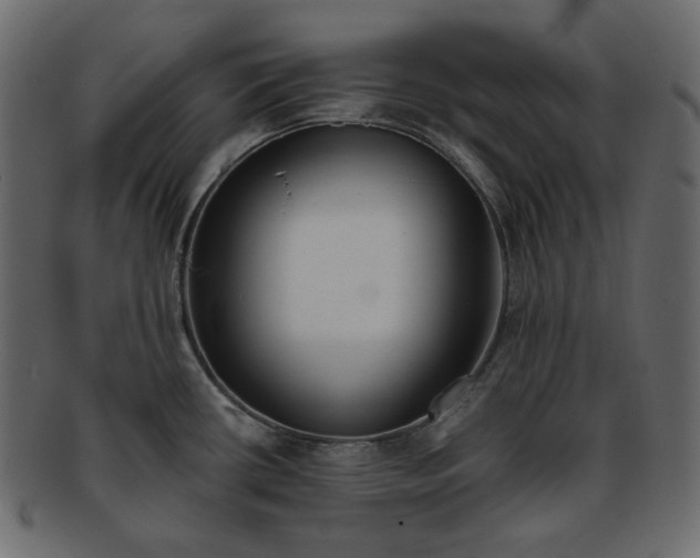 X0000093381434200710191126