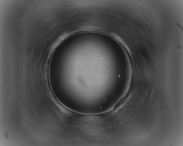 X0000093381437200710191126