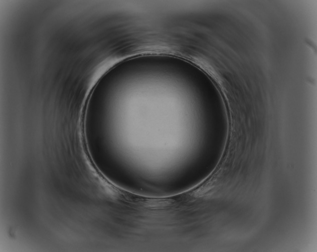 X0000093381440200710191126