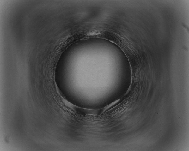 X0000093381441200710191126