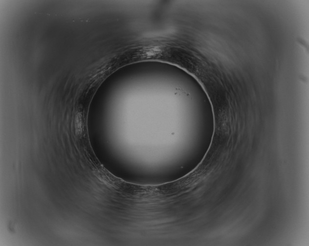 X0000093381442200710191126