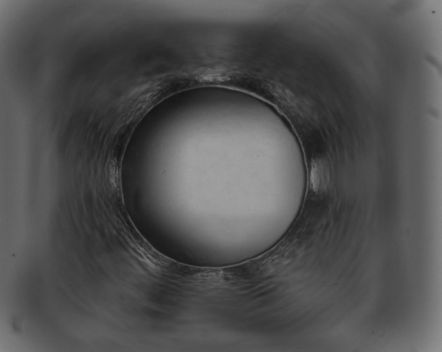 X0000093381444200710191126