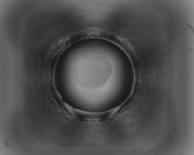 X0000093381445200710191126