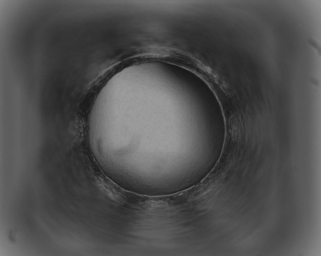 X0000093381448200710191126