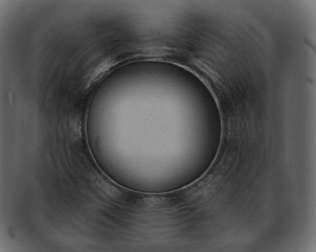 X0000093381451200710191126