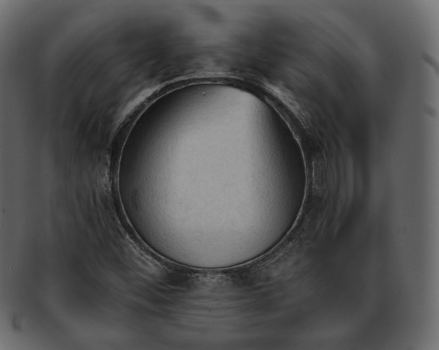 X0000093381452200710191126