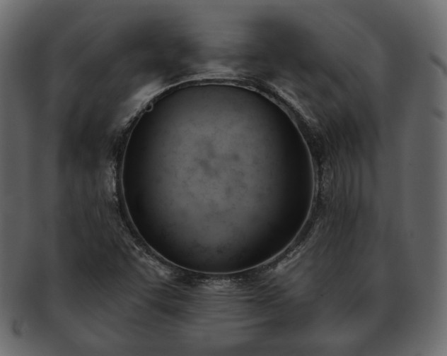 X0000093381455200710191126