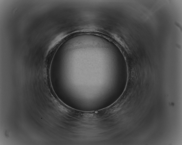 X0000093381456200710191126