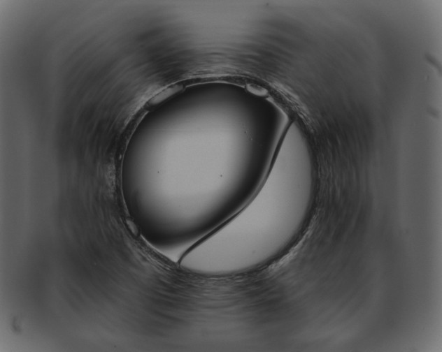 X0000093381457200710191126