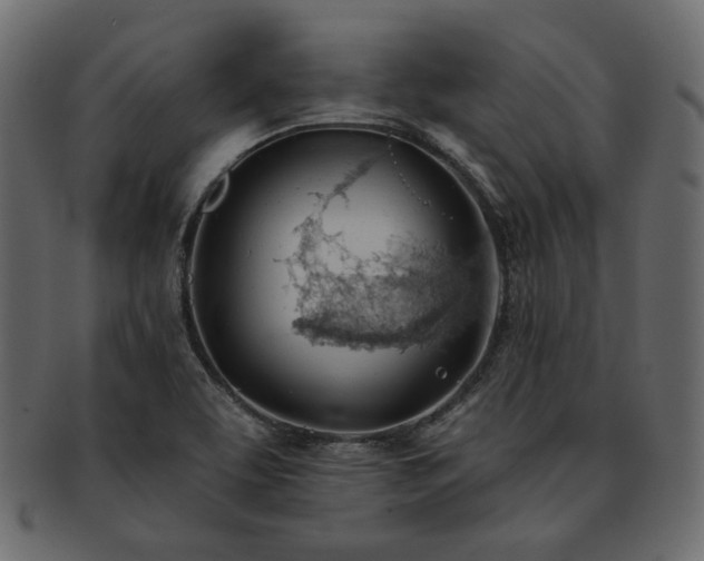 X0000093381463200710191125