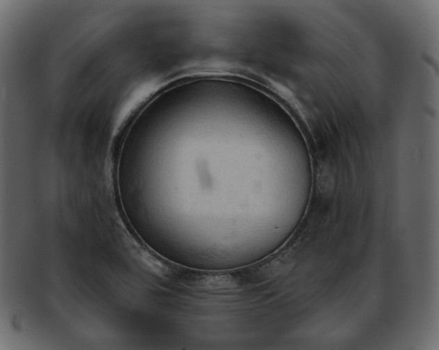 X0000093381464200710191125
