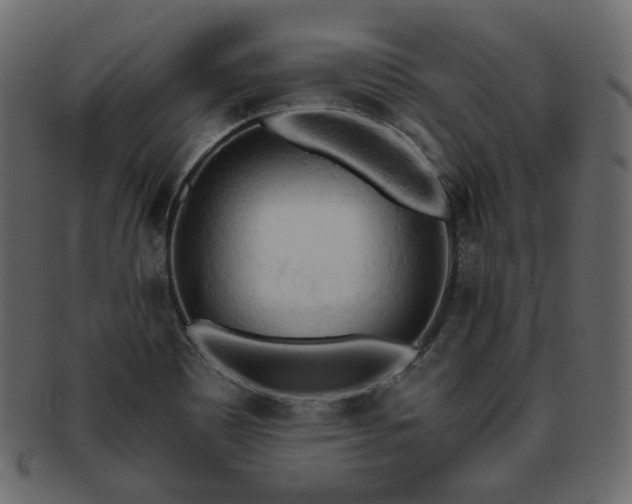 X0000093381465200710191125