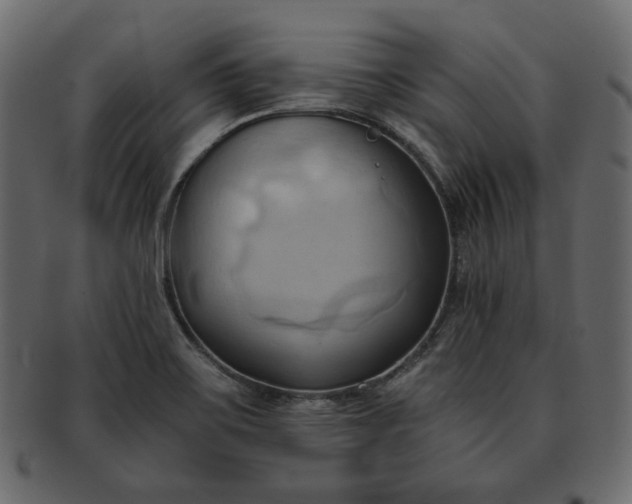 X0000093381467200710191125
