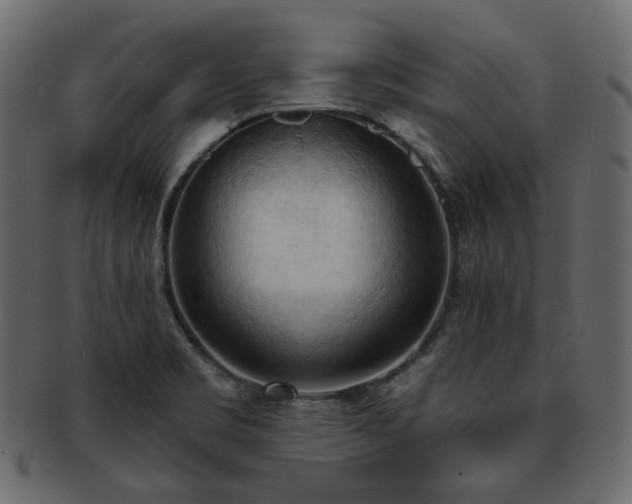 X0000093381469200710191125