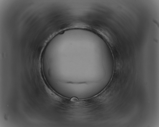 X0000093381471200710191125