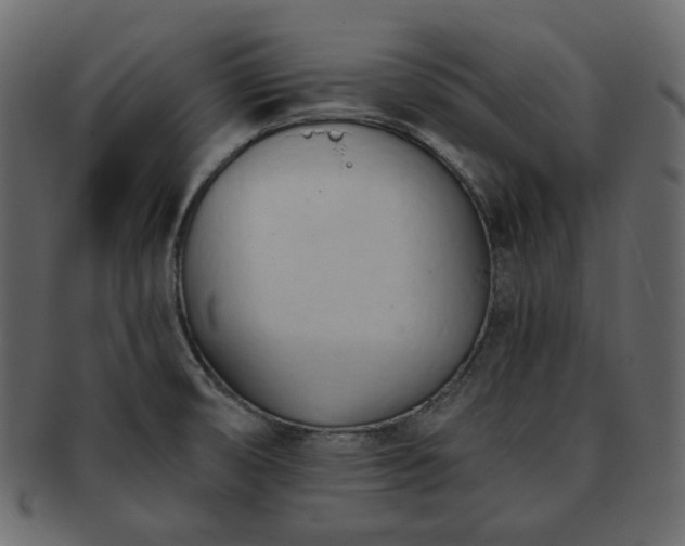 X0000093381474200710191125