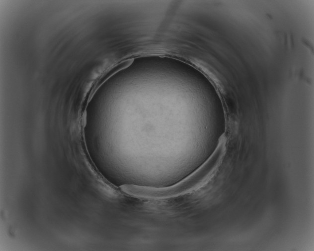 X0000093381477200710191125